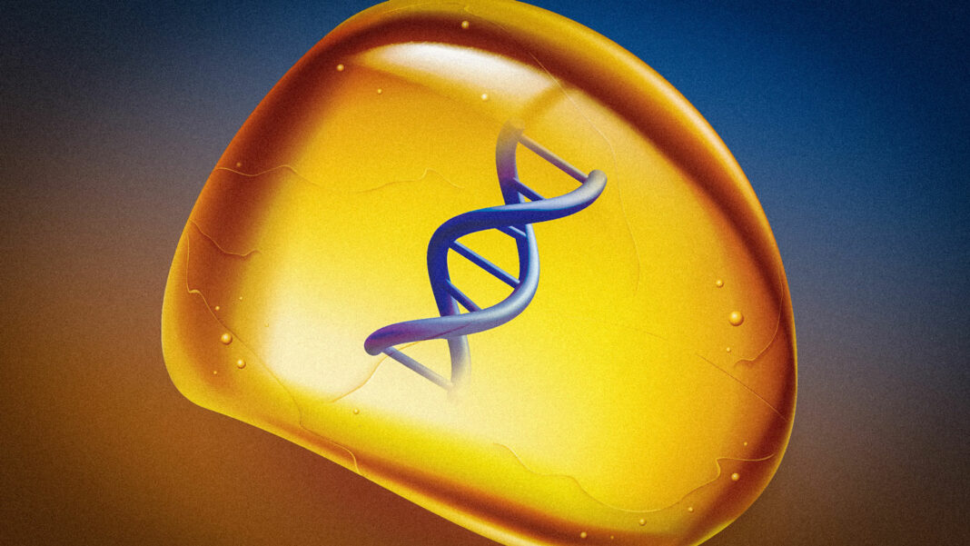 A close-up illustration of a translucent amber-colored rock with a DNA double helix held inside